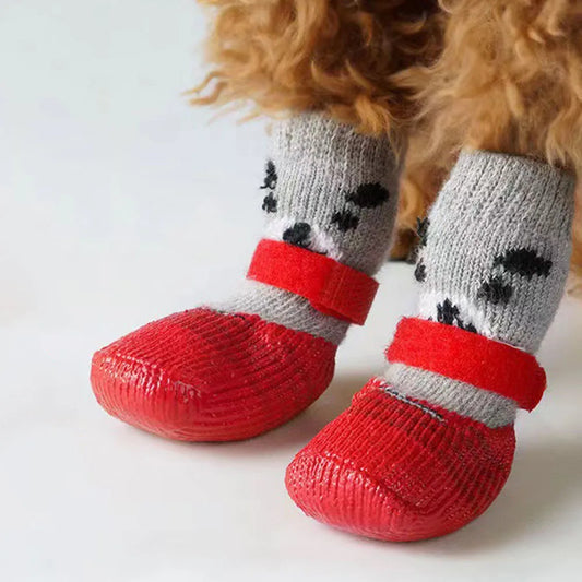 Socks&Shoes for Paw Protection