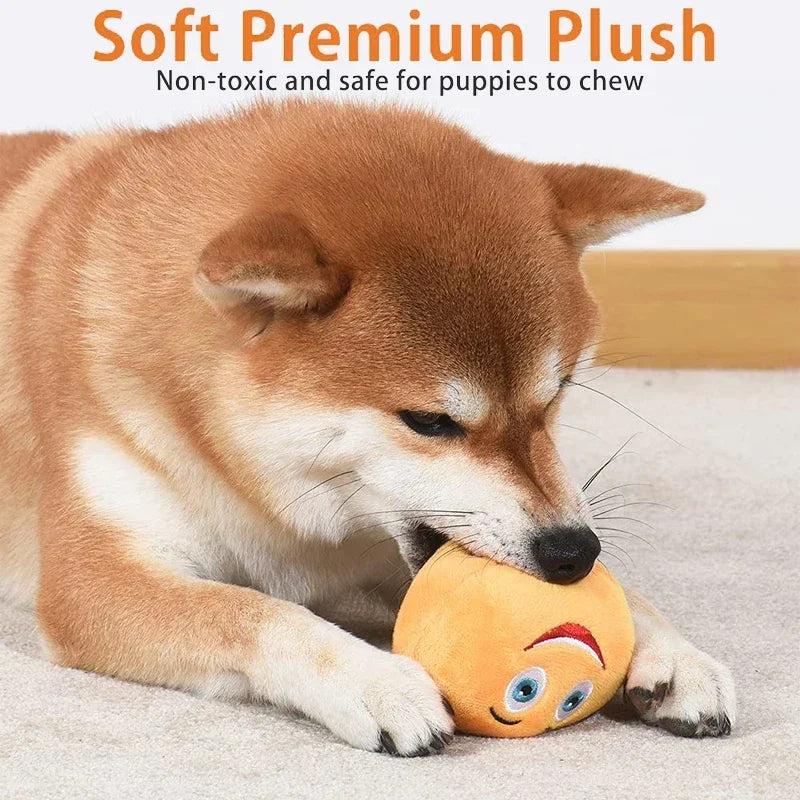 Squeaky Chew Toy Ball