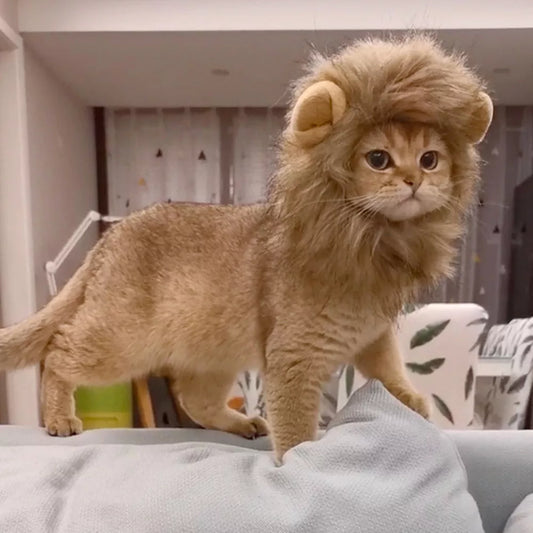 Cute Lion Mane Wig Cat Costume