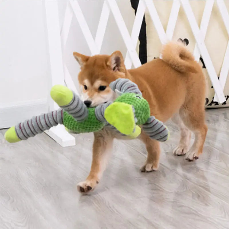 Indestructible Squeaky Toys in Elongated Animal Shapes