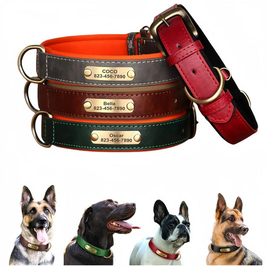Dog Collar with Personalized  ID Tag Nameplate