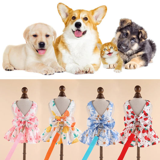 Summer Princess Harness Dresses with Ring Leash