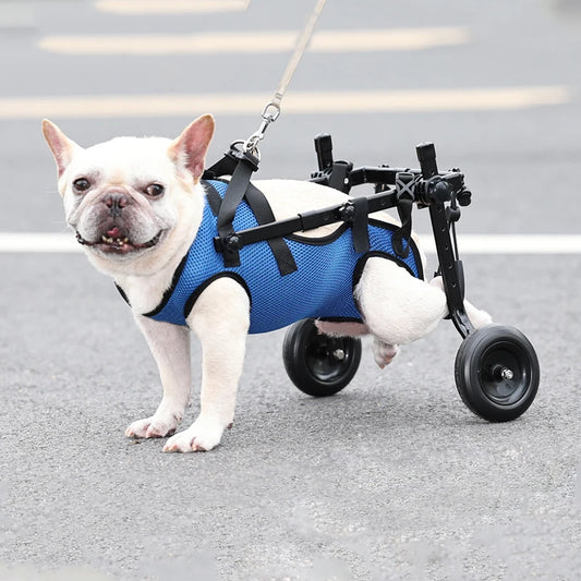 Adjustable Wheelchair for Dog's Hind Legs