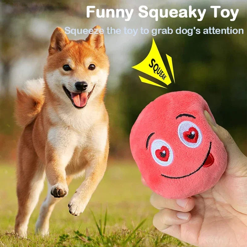 Squeaky Chew Toy Ball