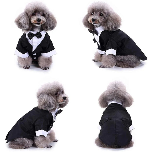 Tux + Tails Wedding Suit with Formal Shirt + Bow Tie