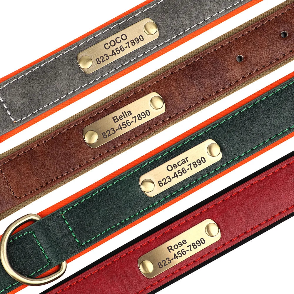 Dog Collar with Personalized  ID Tag Nameplate