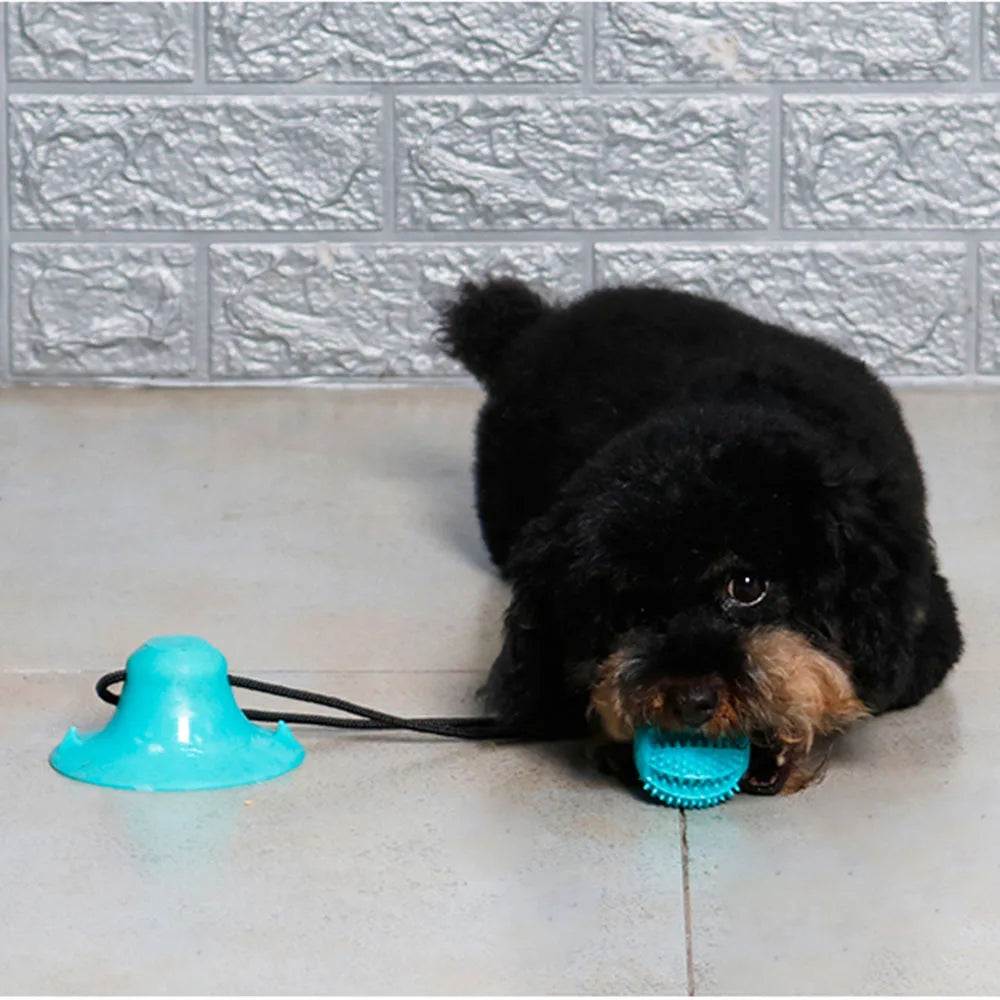 Interactive Pull/Chew Toy+Food Dispenser with Stabilizing Suction Cup